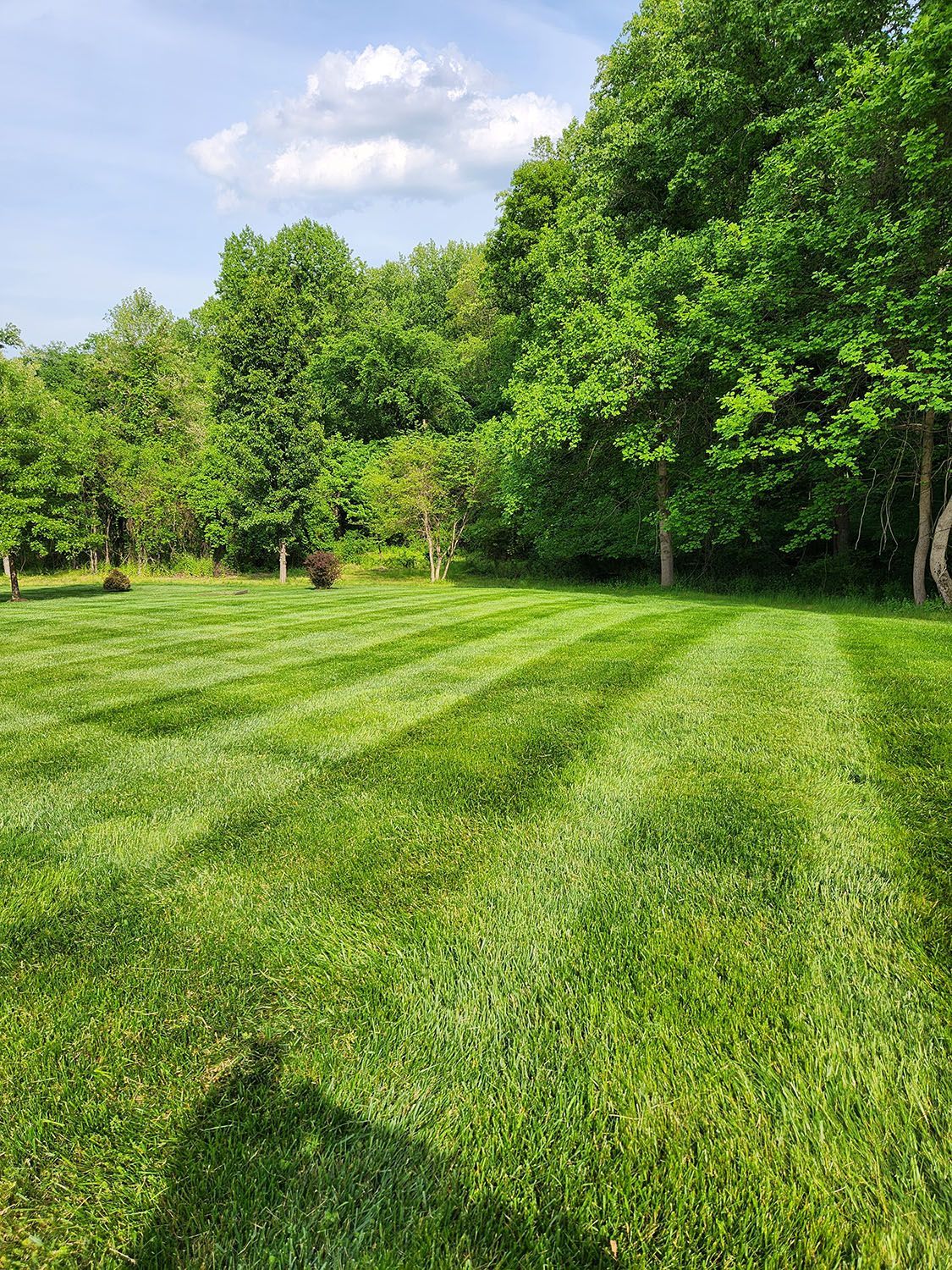 Well maintained lawn