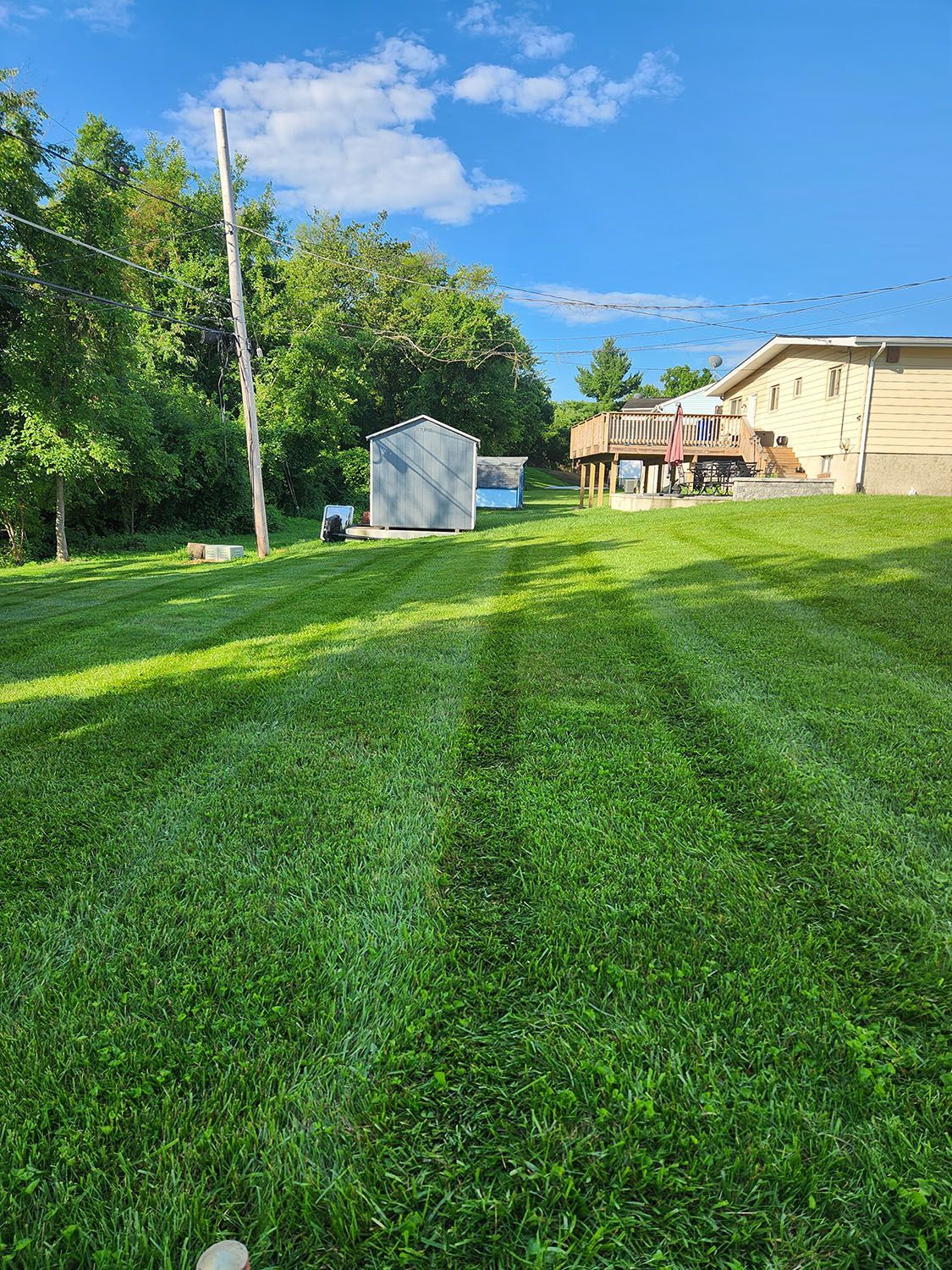 Beautiful and spacious lawn