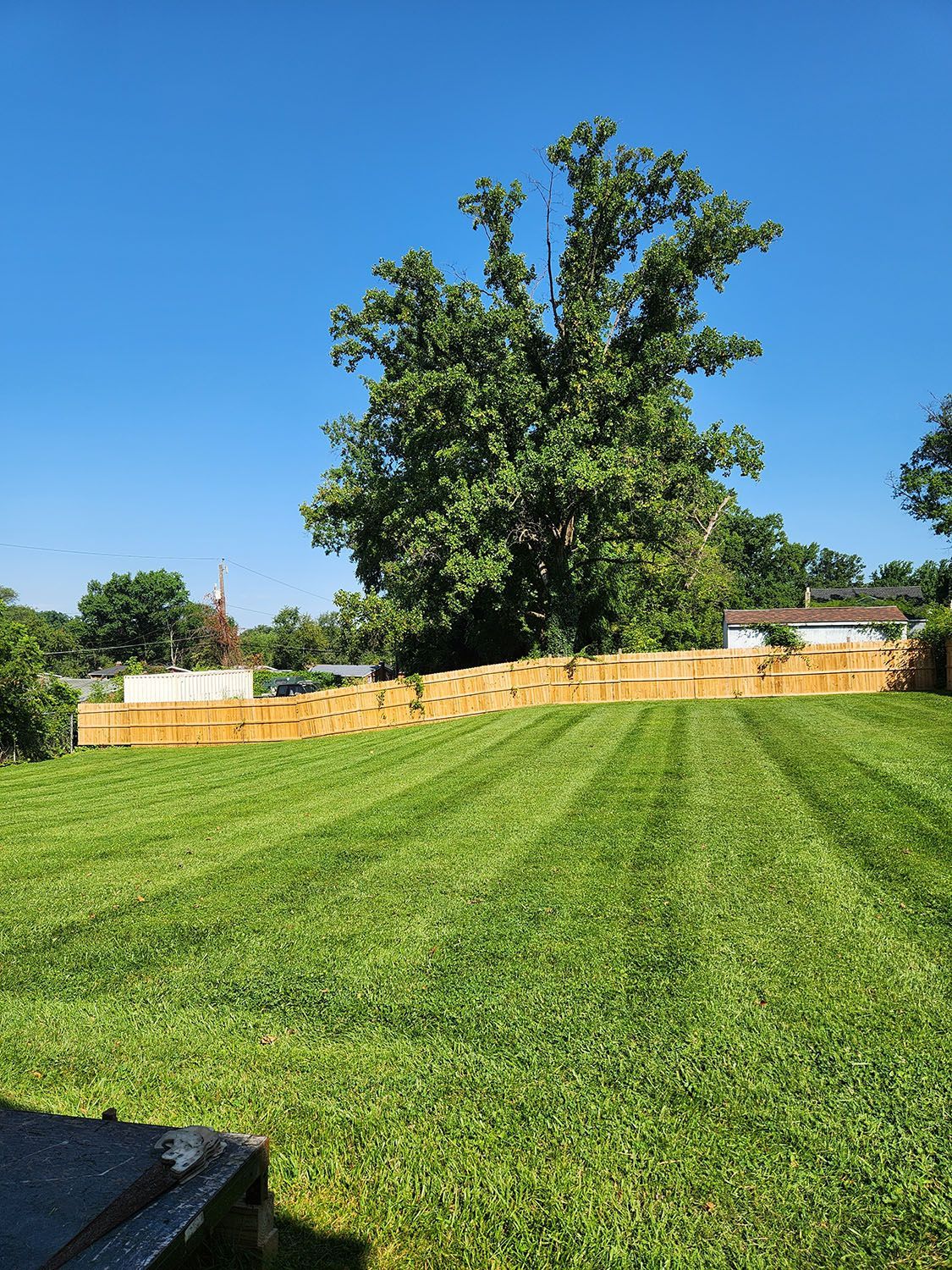House with a beautifully maintained lawn