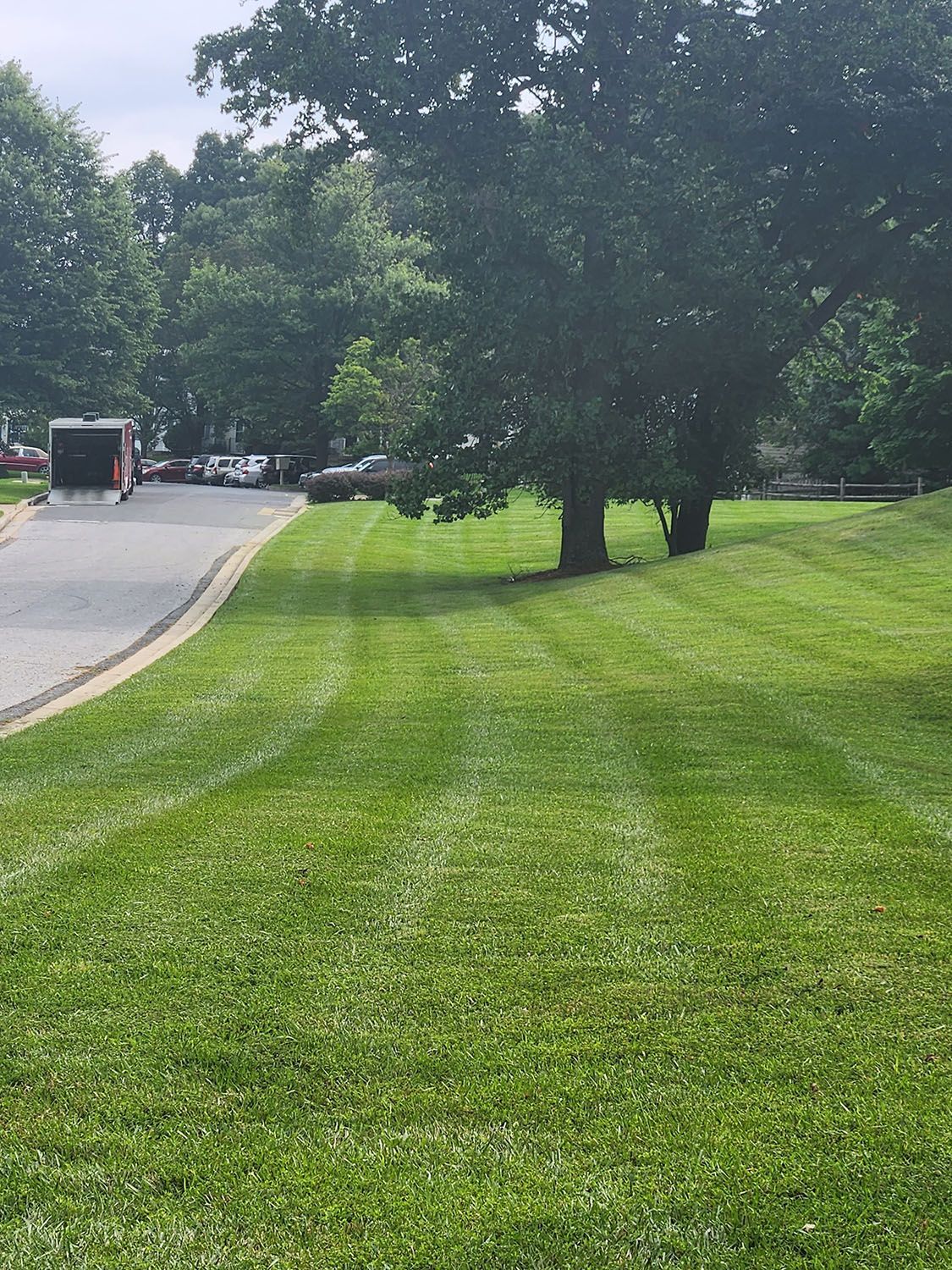 Beautiful and spacious lawn
