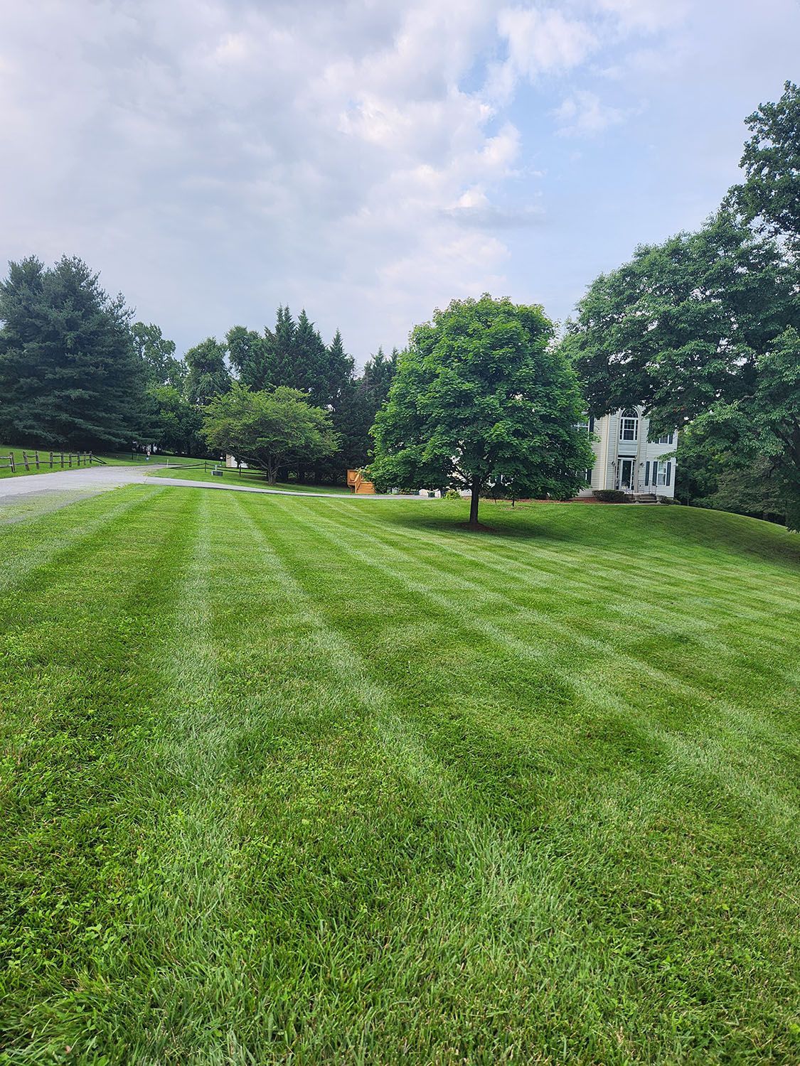 Beautiful and spacious lawn