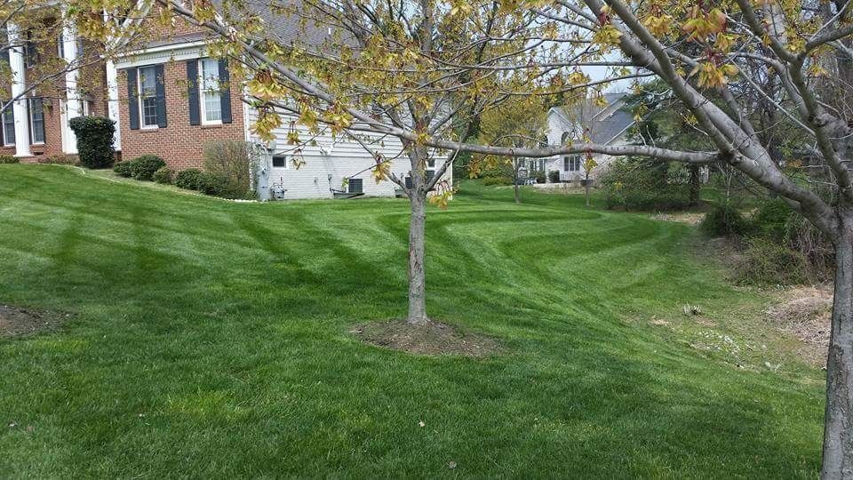 Beautiful and spacious lawn