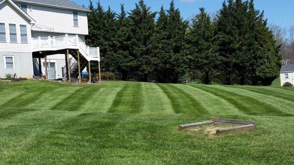 Backyard with a carefully maintained lawn