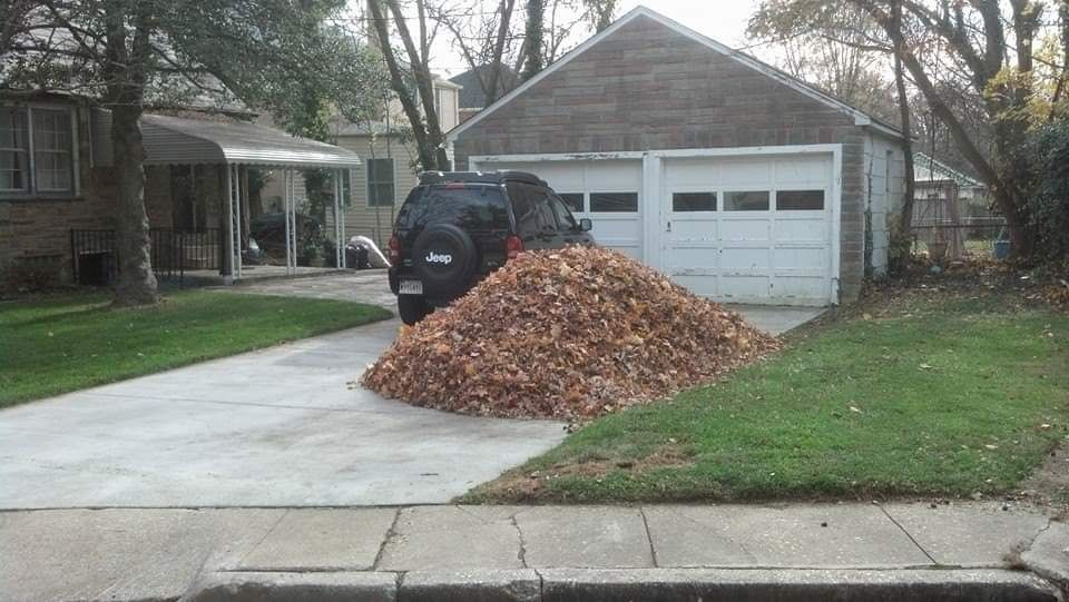 Pile of leaves along a garage driveway