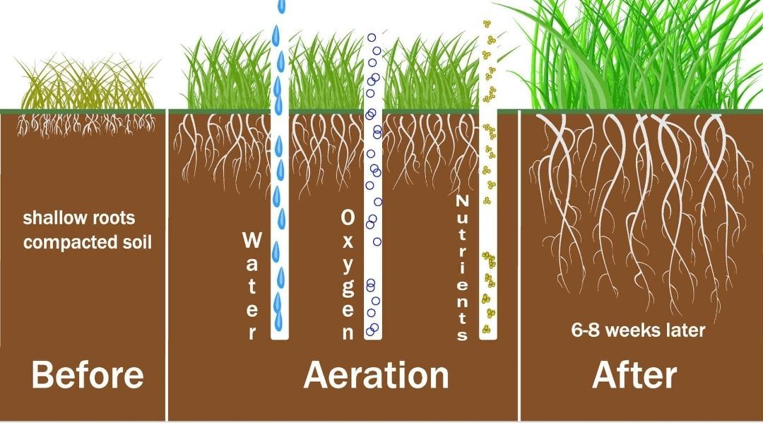 Aeration process illustration
