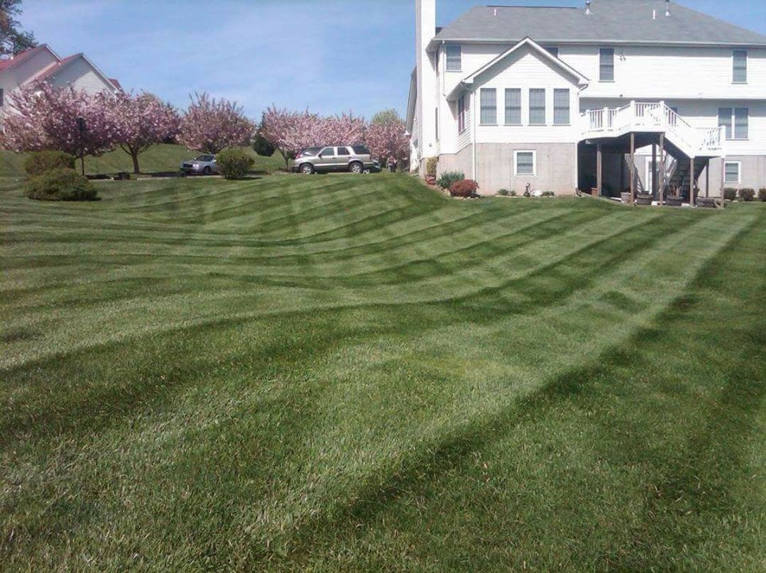 Well maintained lawn