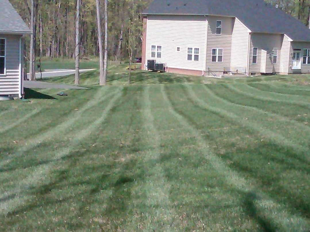 Beautiful and spacious lawn