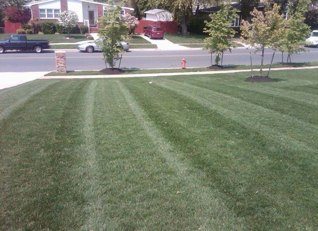 House with a well maintained lawn
