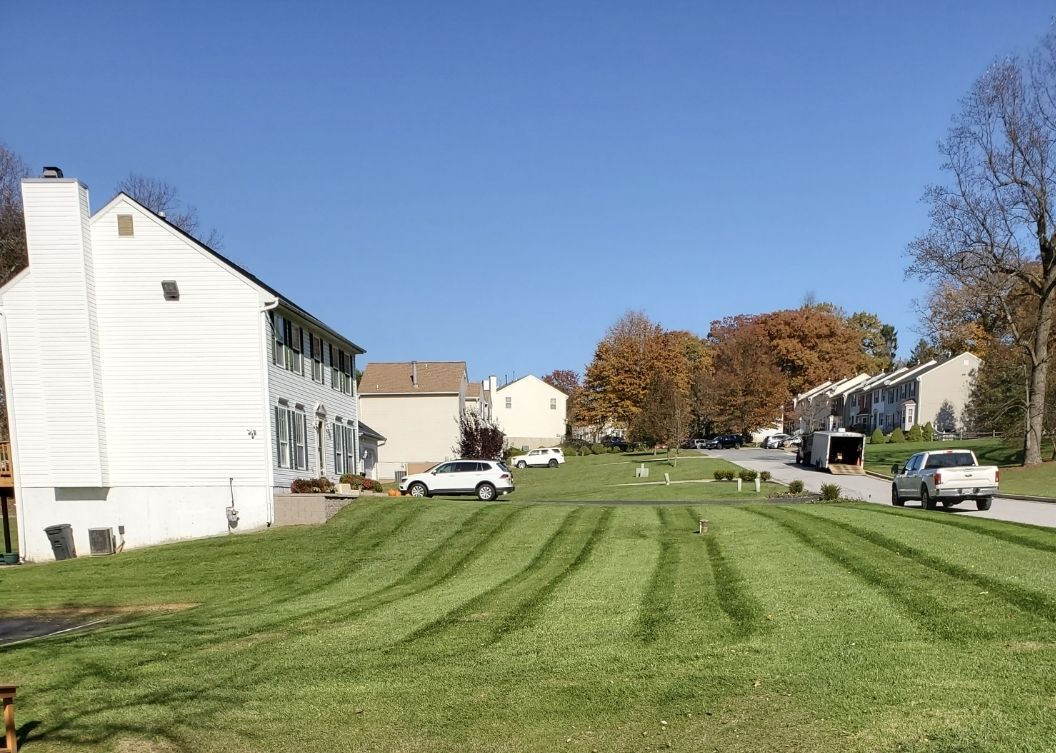 Beautiful and spacious lawn