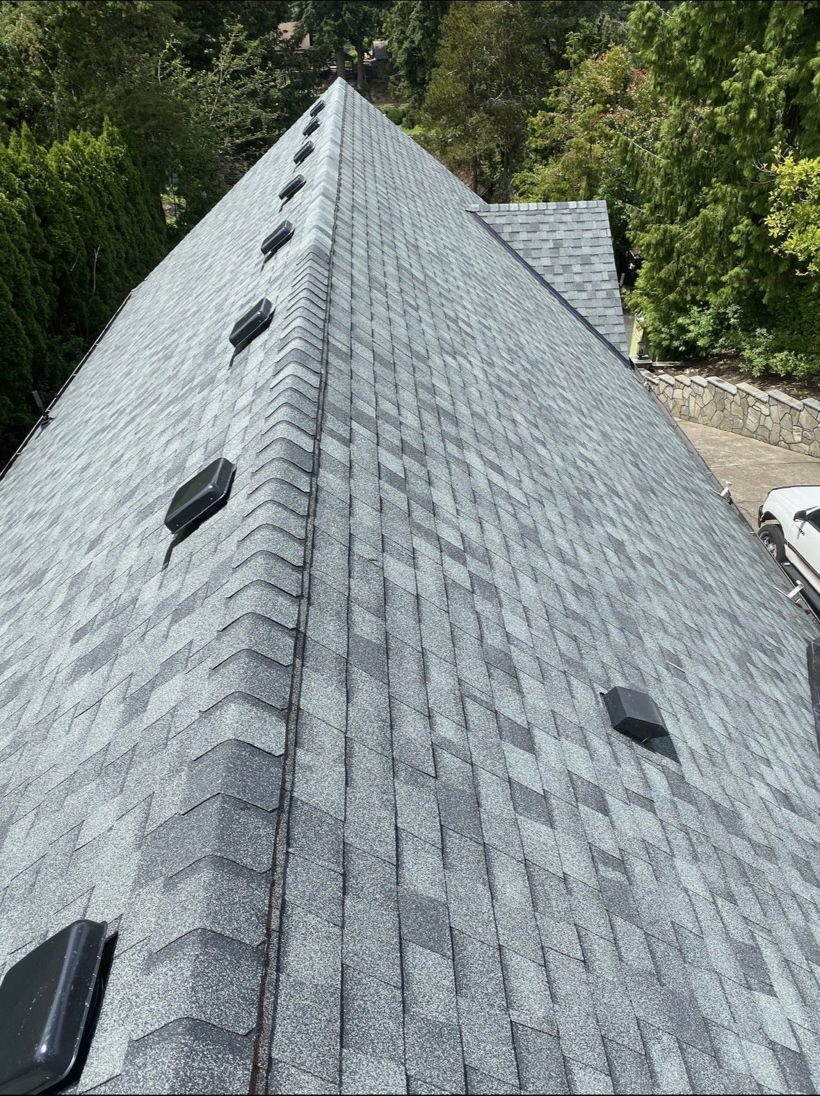 Gray shingled roof with several vents, viewed from above against a backdrop of trees.