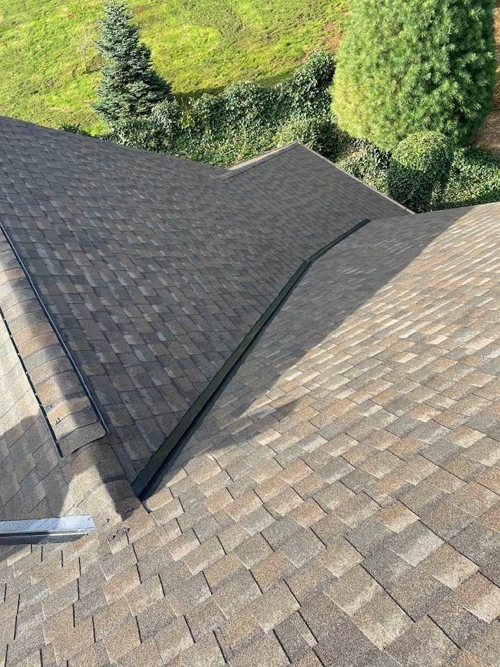 Roof valley between two brown shingle roof sections with green trees in the background