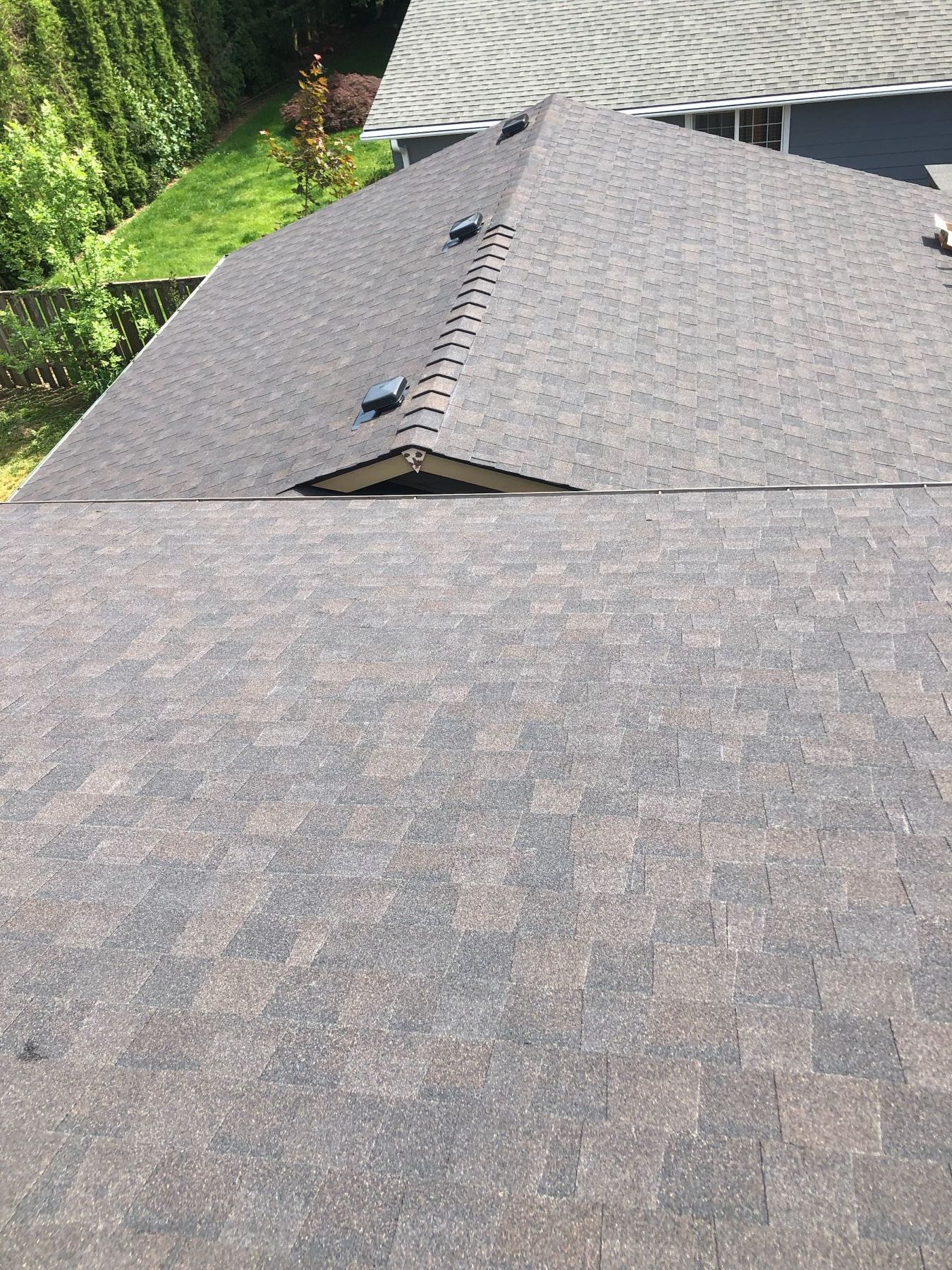 Roof shingles with a visible ridge seam and small dark vents near the top, viewed from above