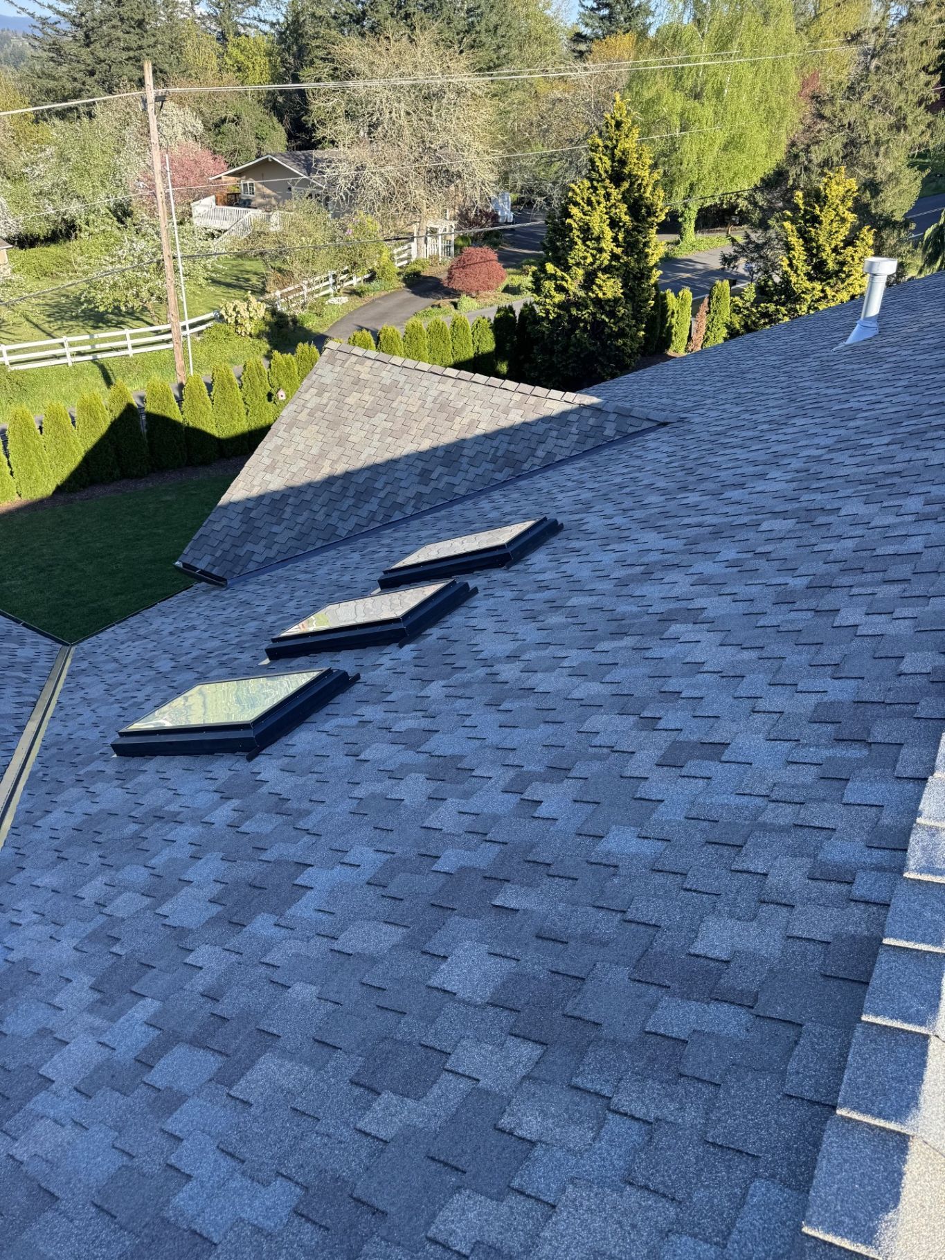 Shingled roof with three skylights, viewed from above with trees and neighboring houses in the background