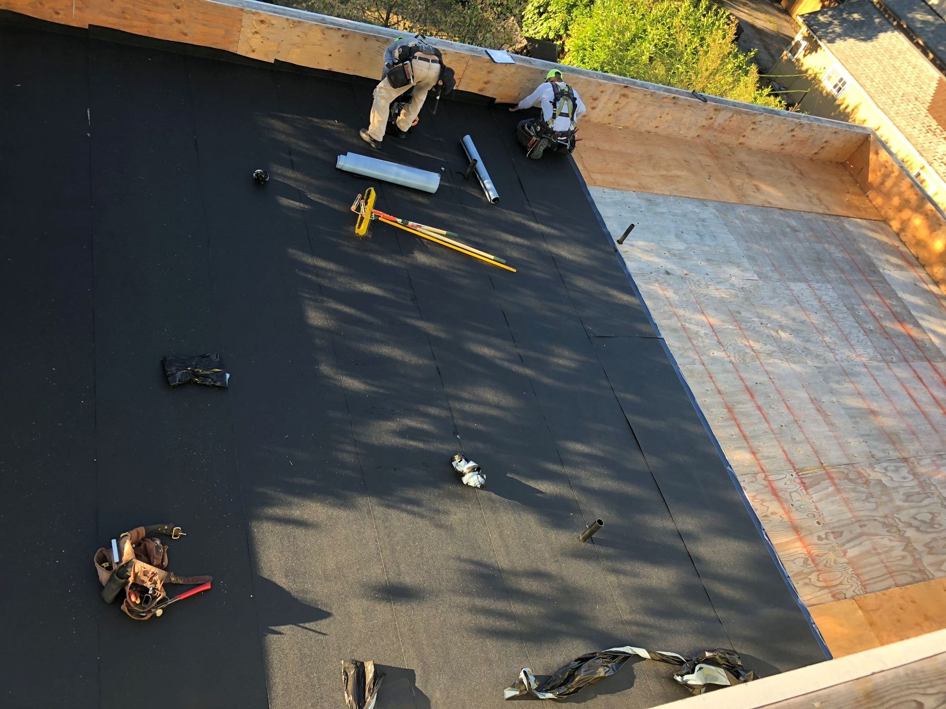 Several cats on a black rooftop beside a brick wall, with sunlight and shadows across the surface