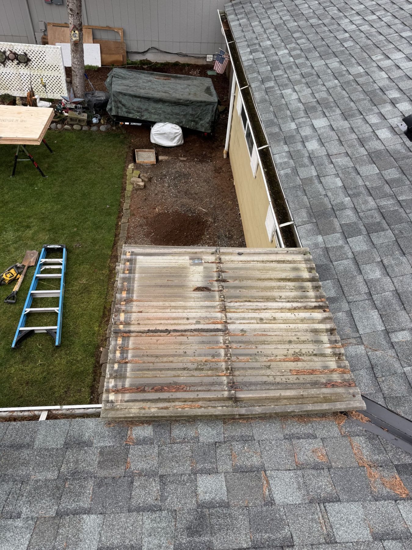 Rooftop view of a backyard with a ladder, corrugated shed roof, and gray shingled roof in the foreground