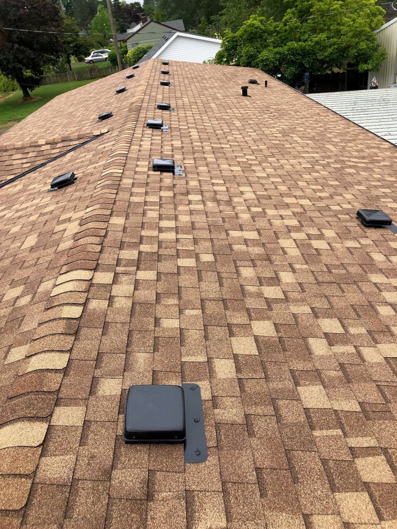Roof covered in brown shingles with multiple black vents and a small white-roofed structure in the background