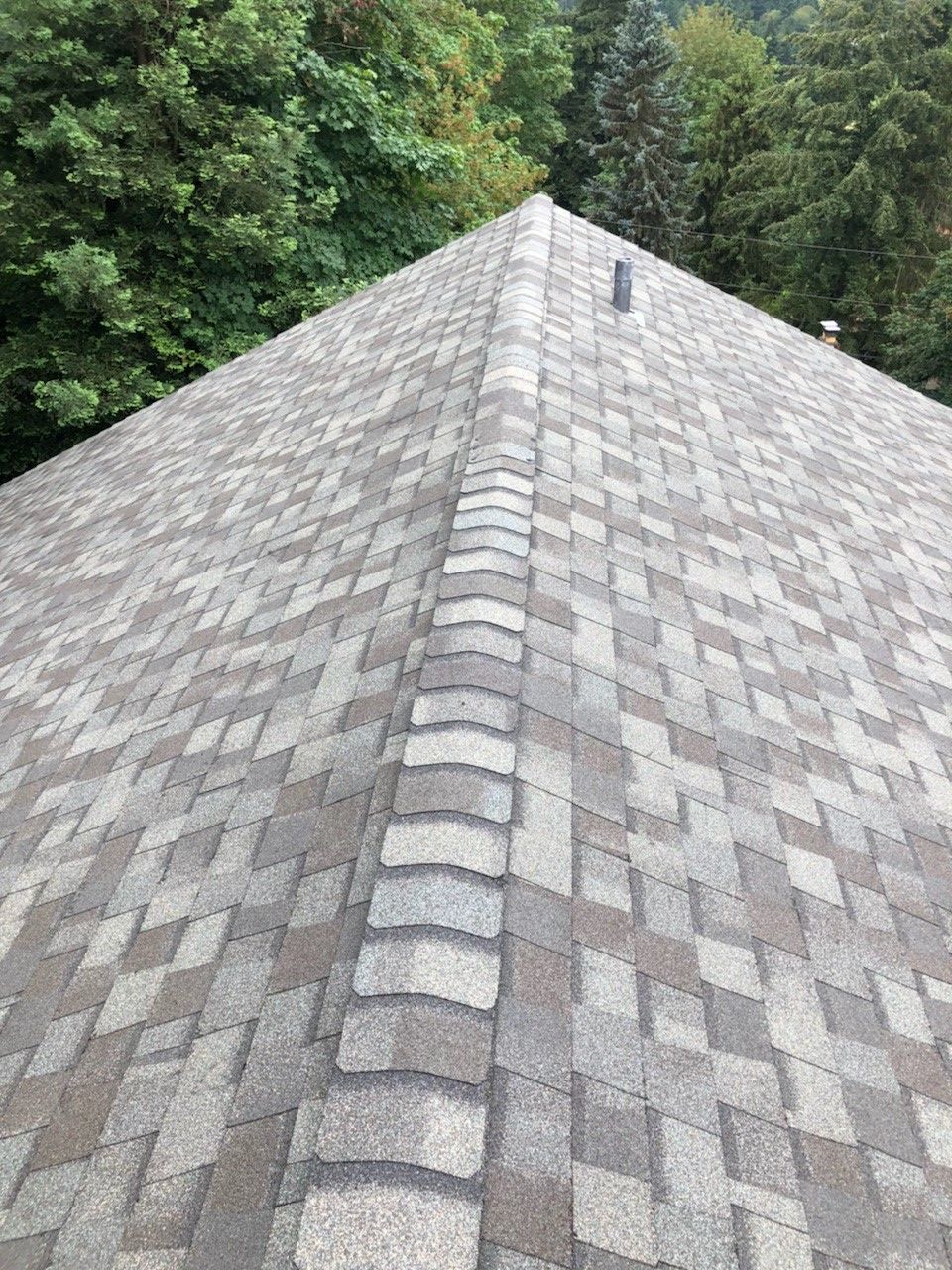 Gray shingle roof with central ridge, surrounded by green trees