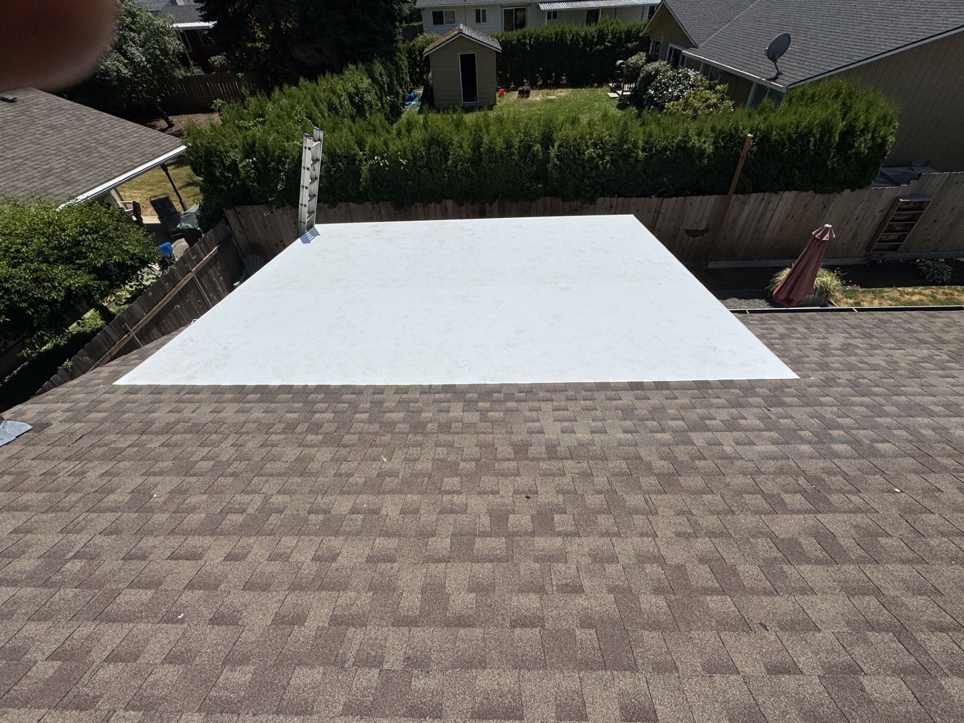 Flat white roof tarp on a brown shingled roof in a residential backyard setting