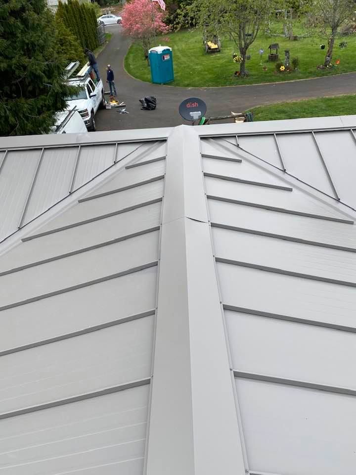 View from a rooftop of gray metal panels overlooking a park road, trees, and a blue portable toilet.