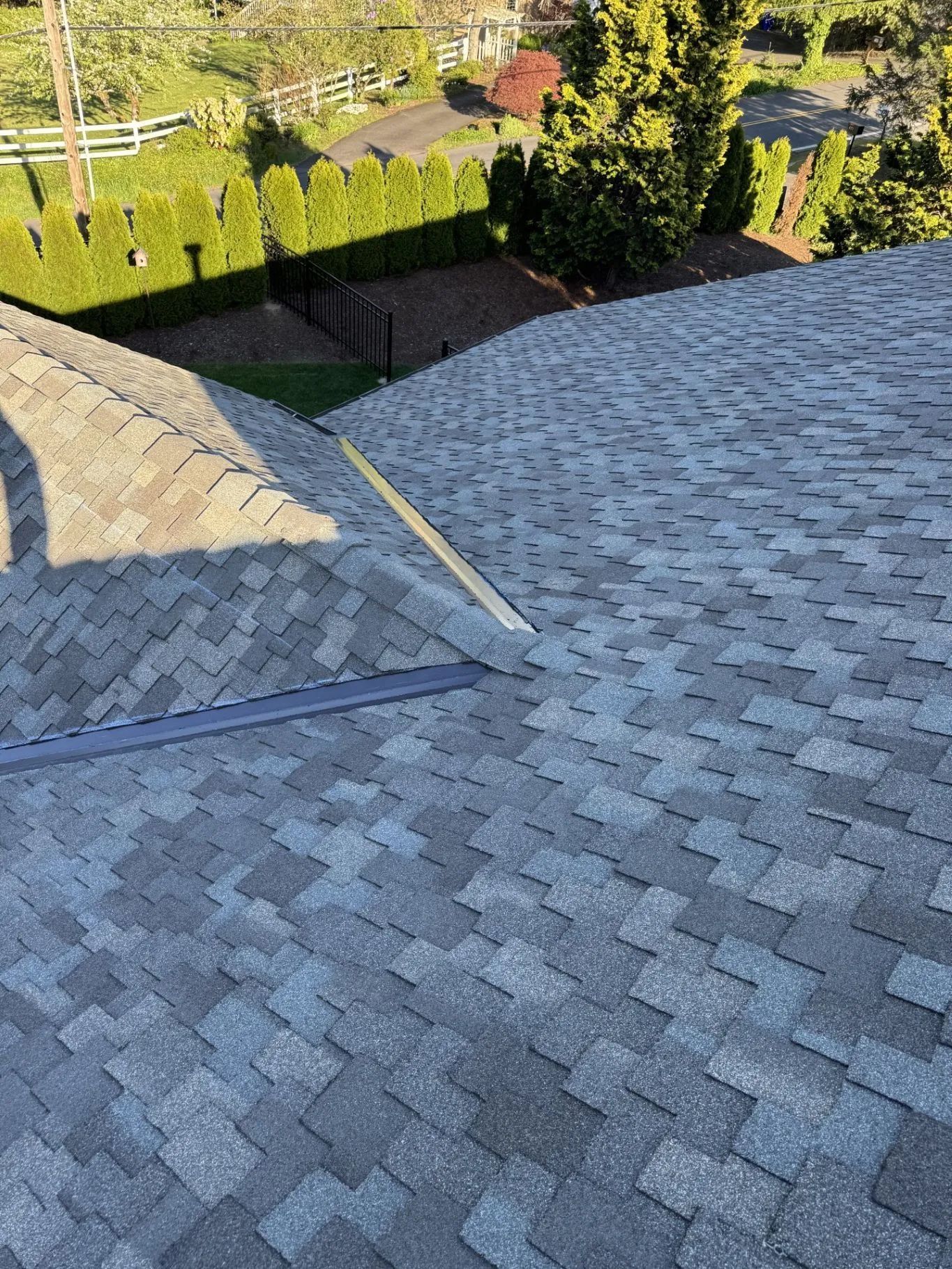 Gray shingle roof with skylight, overlooking a landscaped yard and hedges