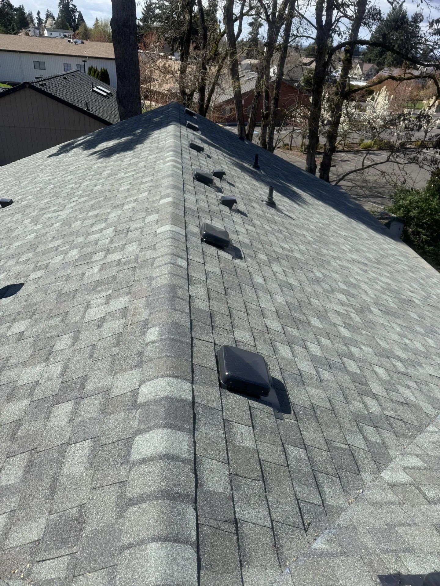 Gray shingle roof with several dark roof vents, viewed from the ridge toward trees and neighboring houses