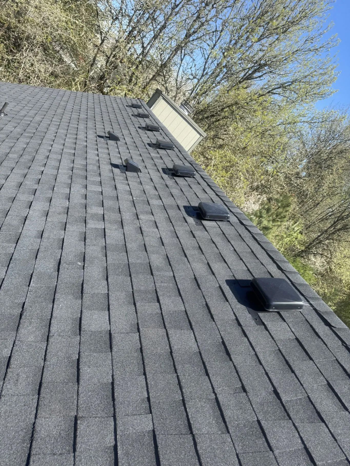 Roof with gray shingles and several black vent stacks beneath trees