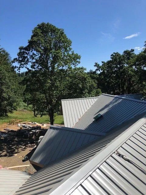 Metal rooftops in a wooded area under a clear blue sky