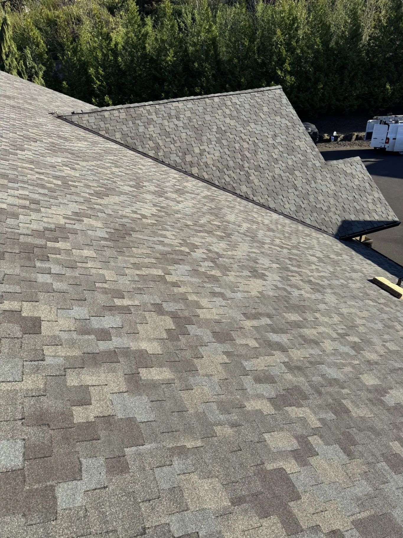 Gray shingled roof with multiple sloped sections beside tall trees