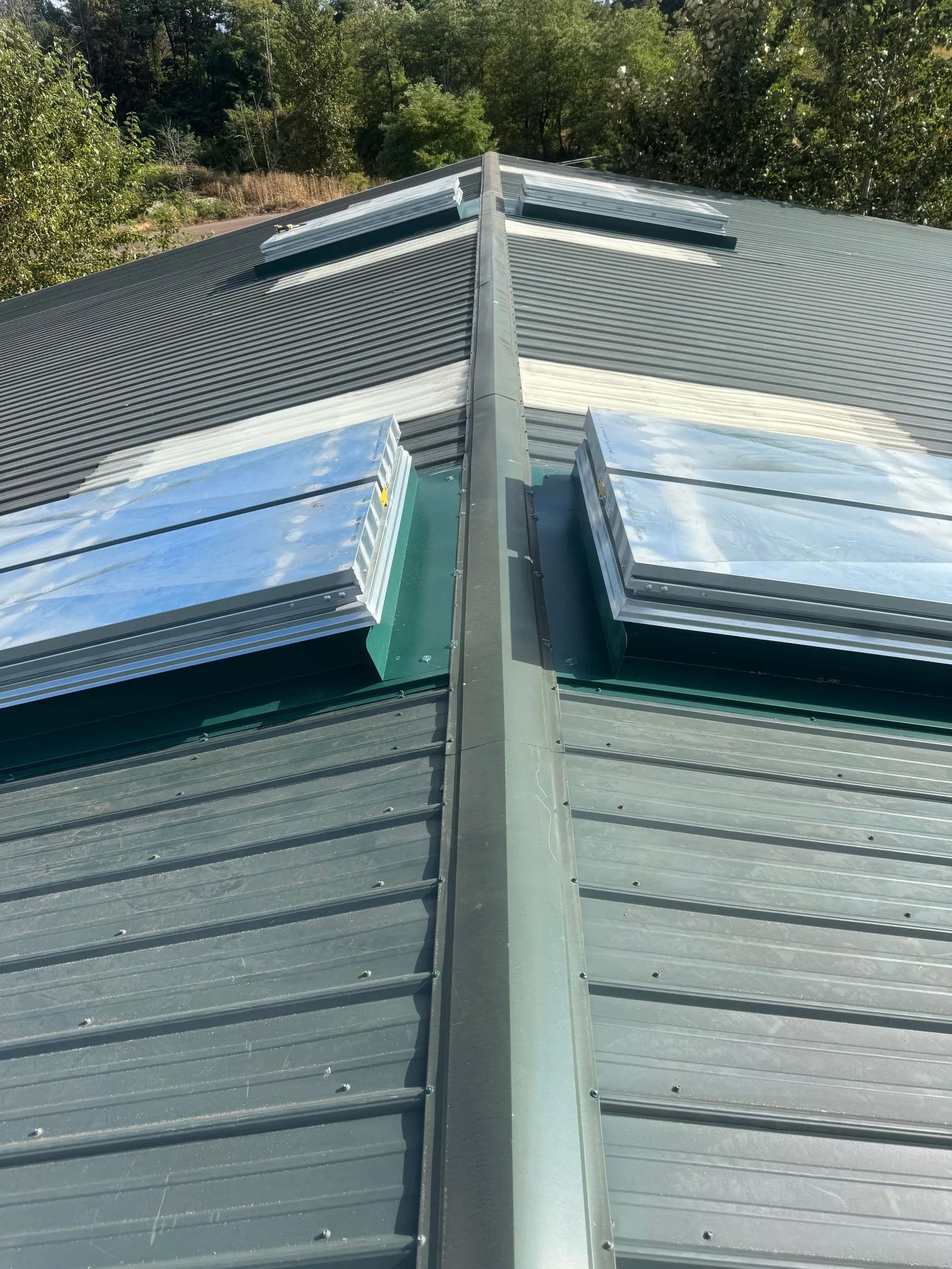 Roof with two skylights and a central ridge, viewed from below against trees