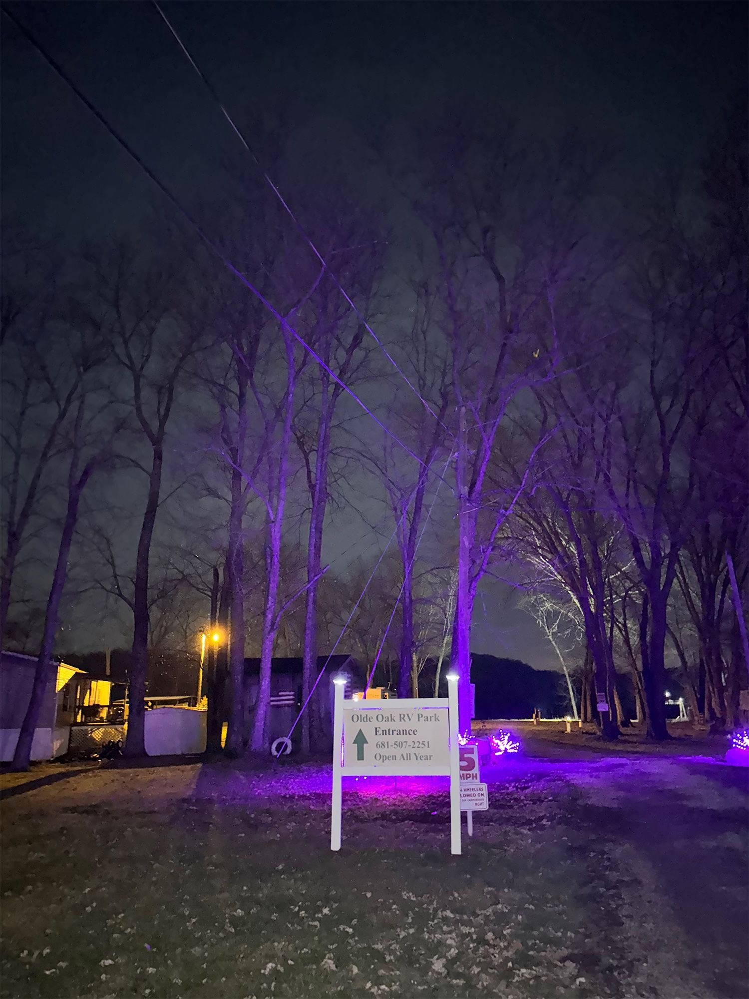 A sign in a park at night with purple lights on the trees.