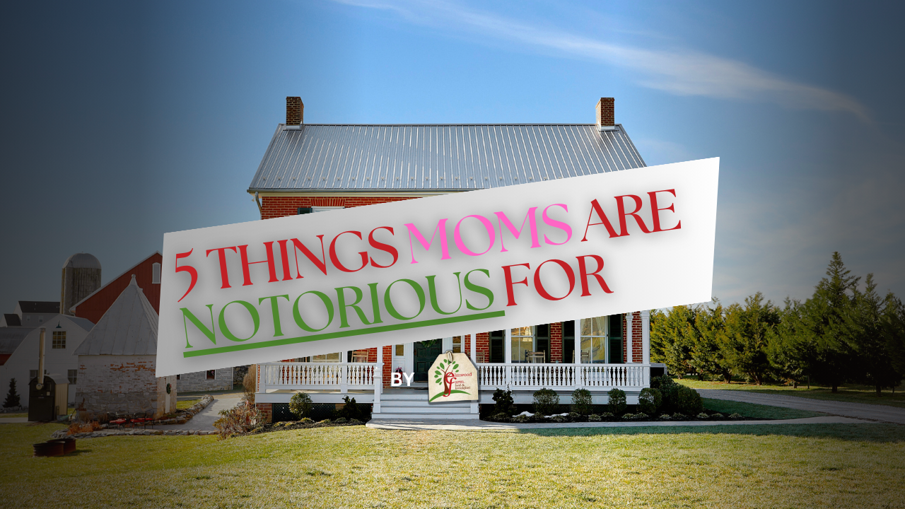5 Things Moms are Notorious For thumbnail