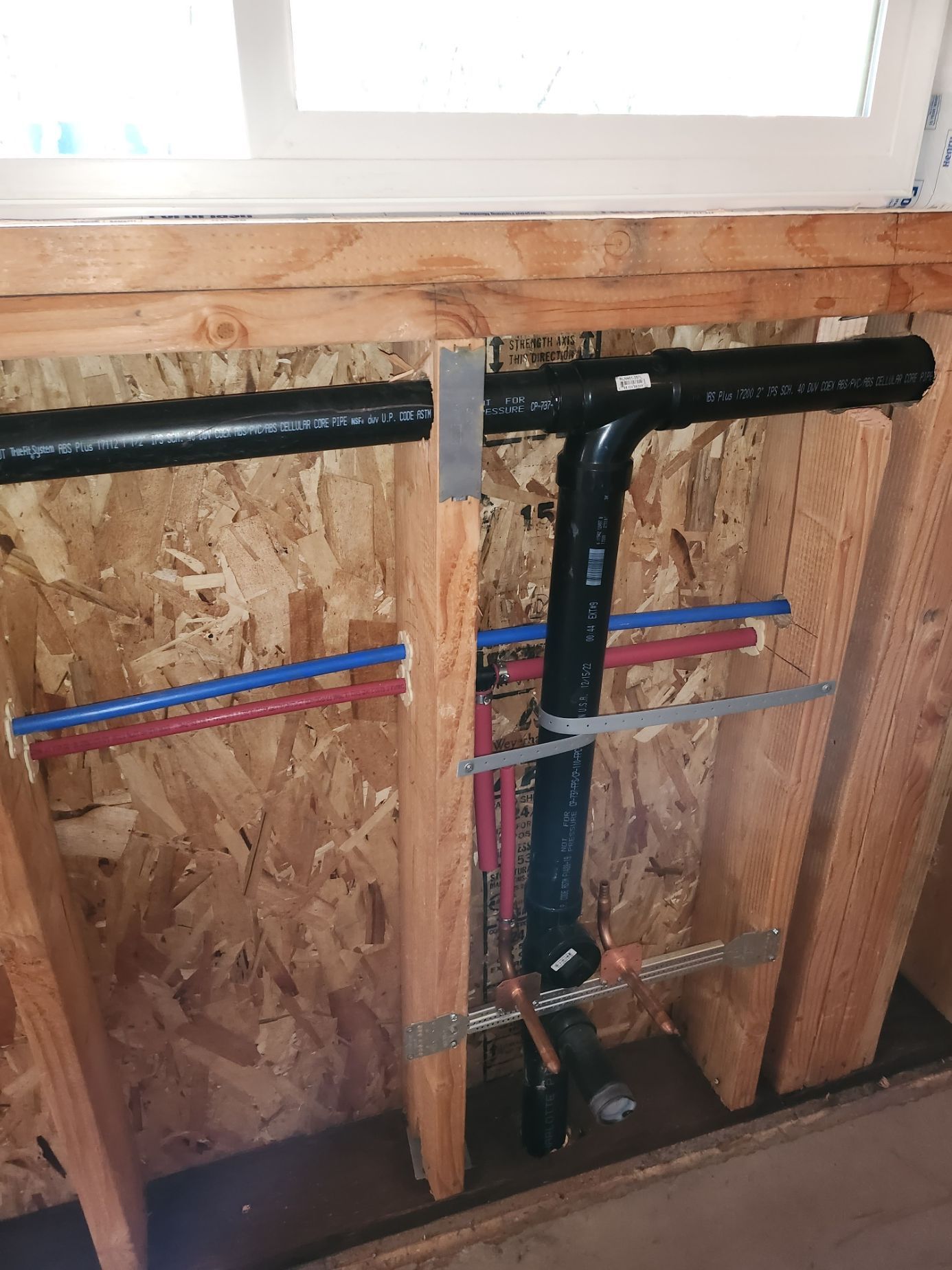 Plumbing pipes: black drain, blue/red water lines, against wood studs in wall.