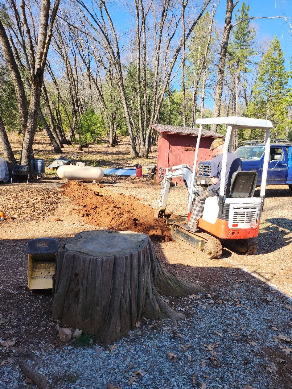 Man operating a small excavator, digging near a tree stump in a yard.