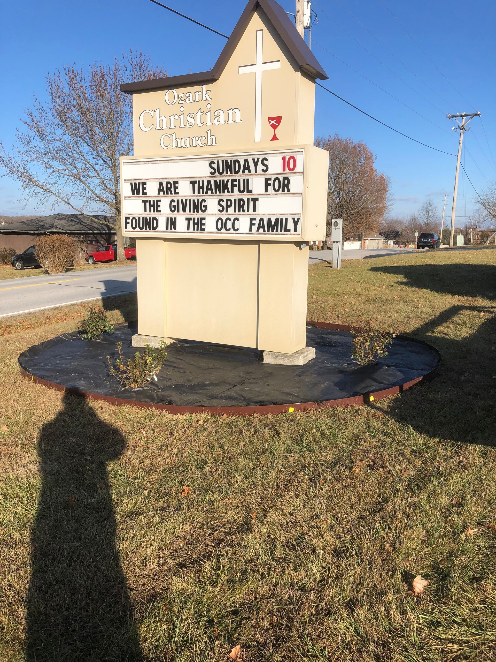 Maintenance for Established Landscaping