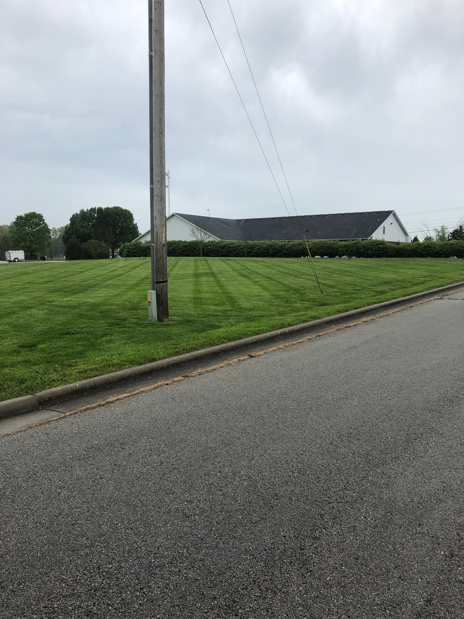 Maintenance for Established Landscaping