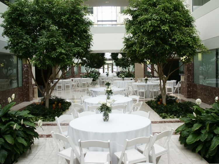 A large room with tables and chairs and trees