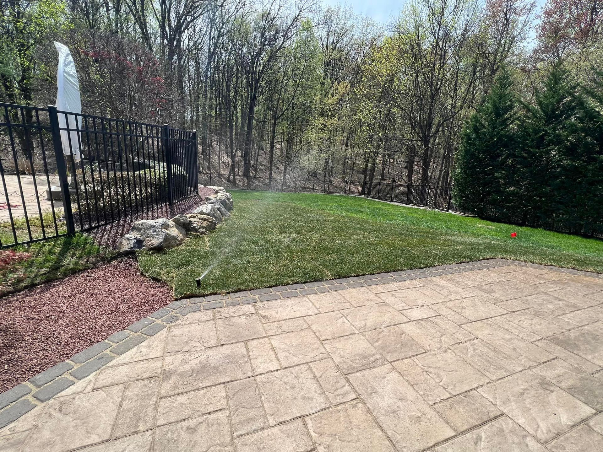 A sprinkler is spraying water on a lush green lawn.