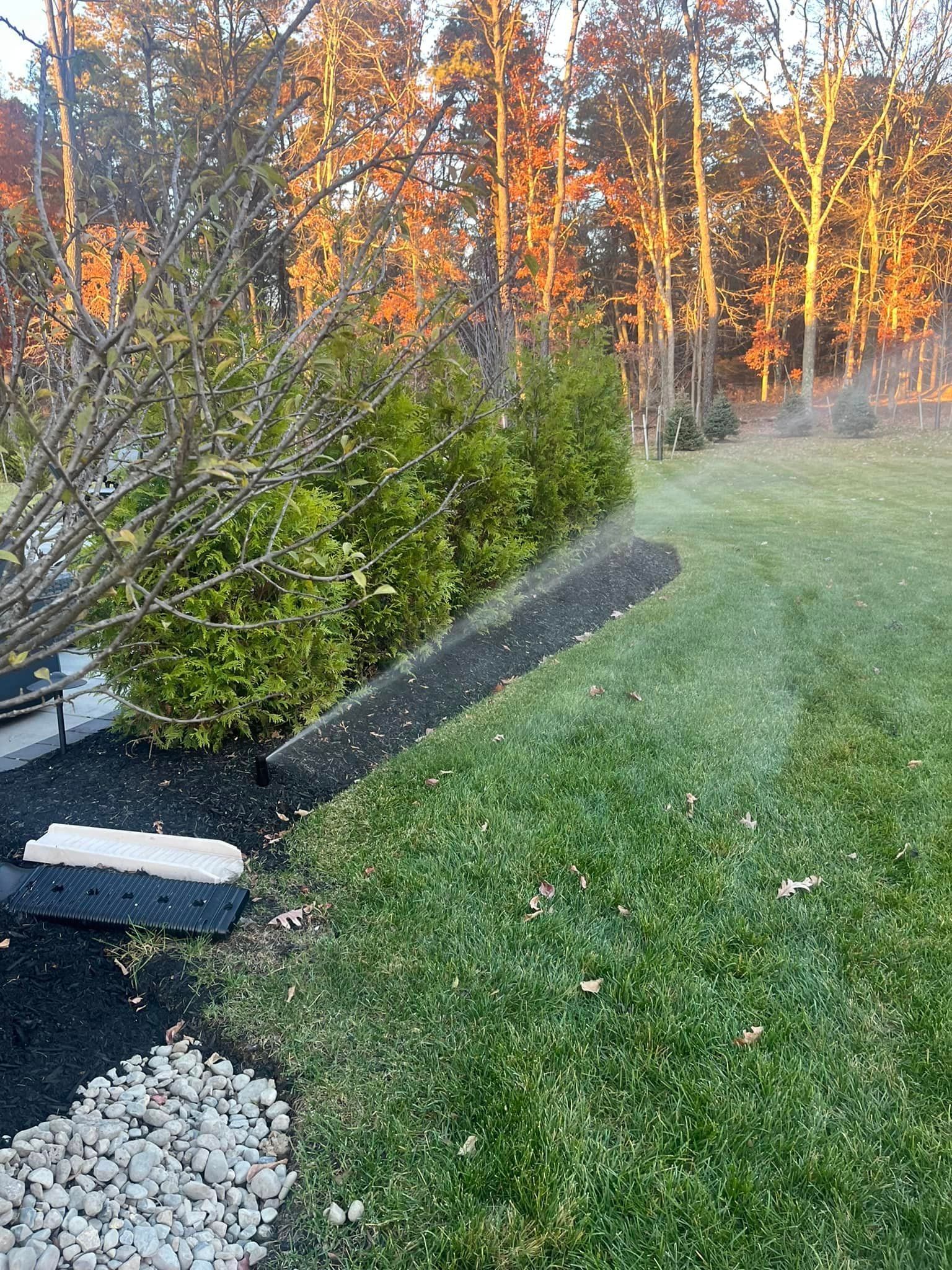 A lush green lawn with trees in the background.