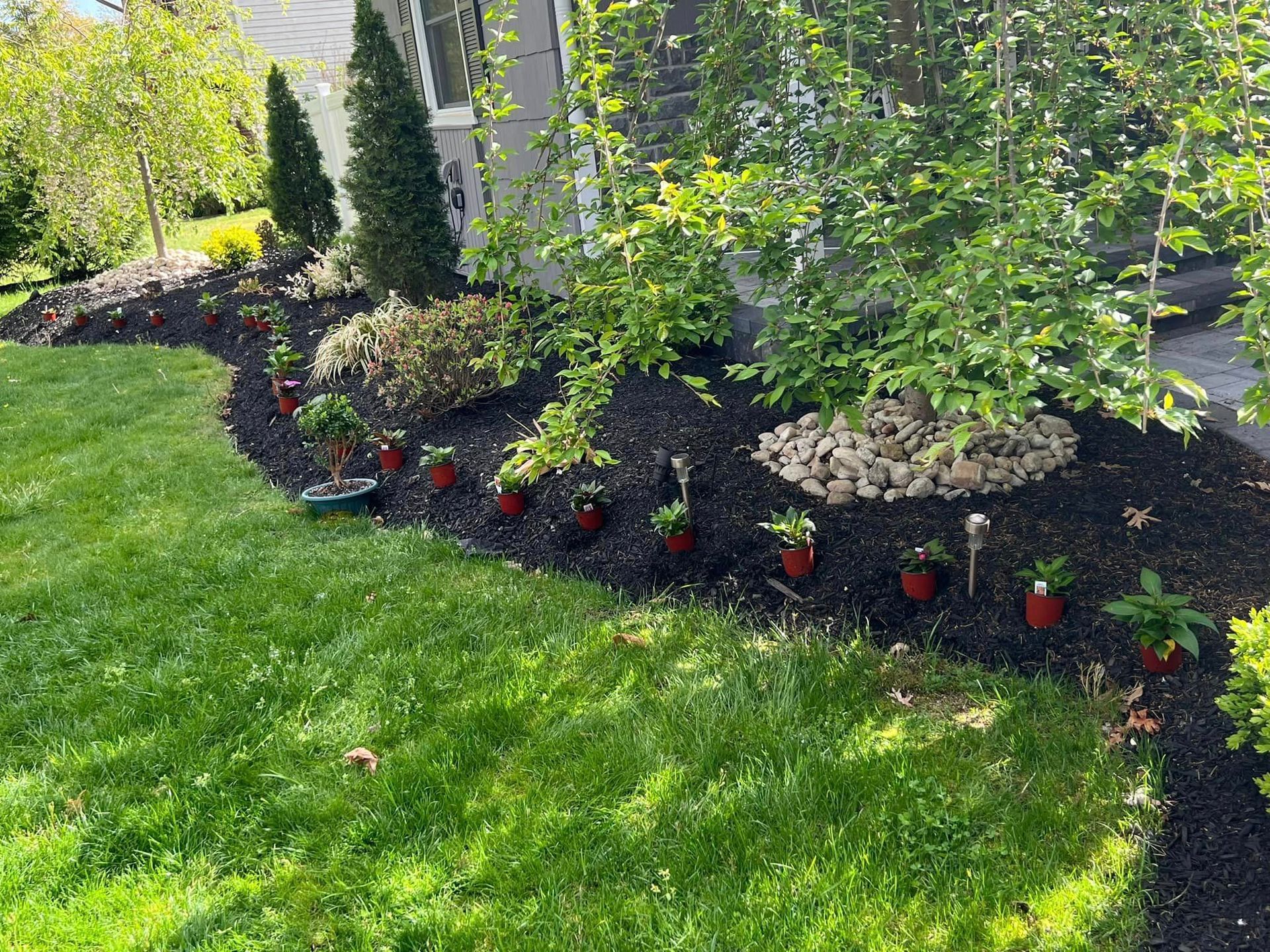 A lush green lawn with a row of potted plants in front of a house.