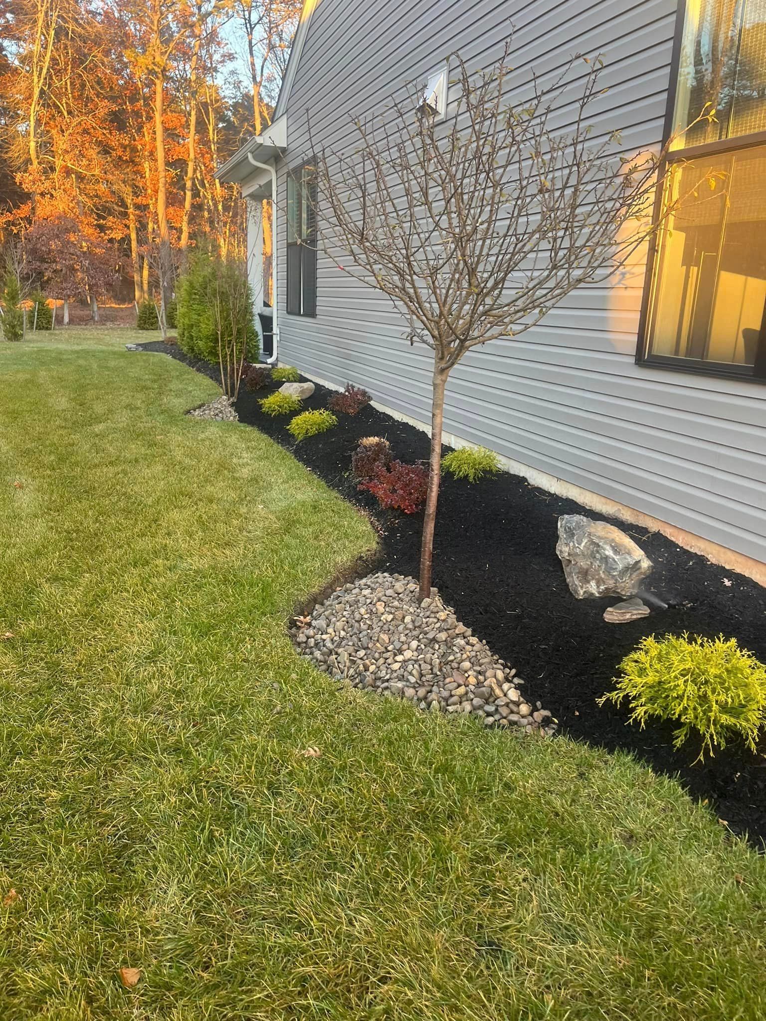 A house with a lush green lawn and a tree in front of it.