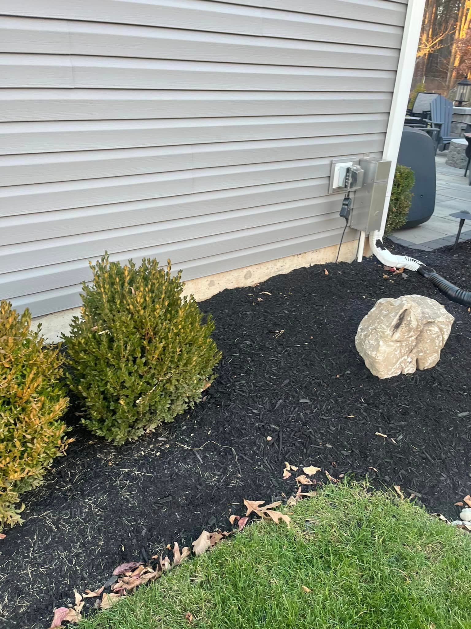 A dog is standing in front of a house next to a rock.