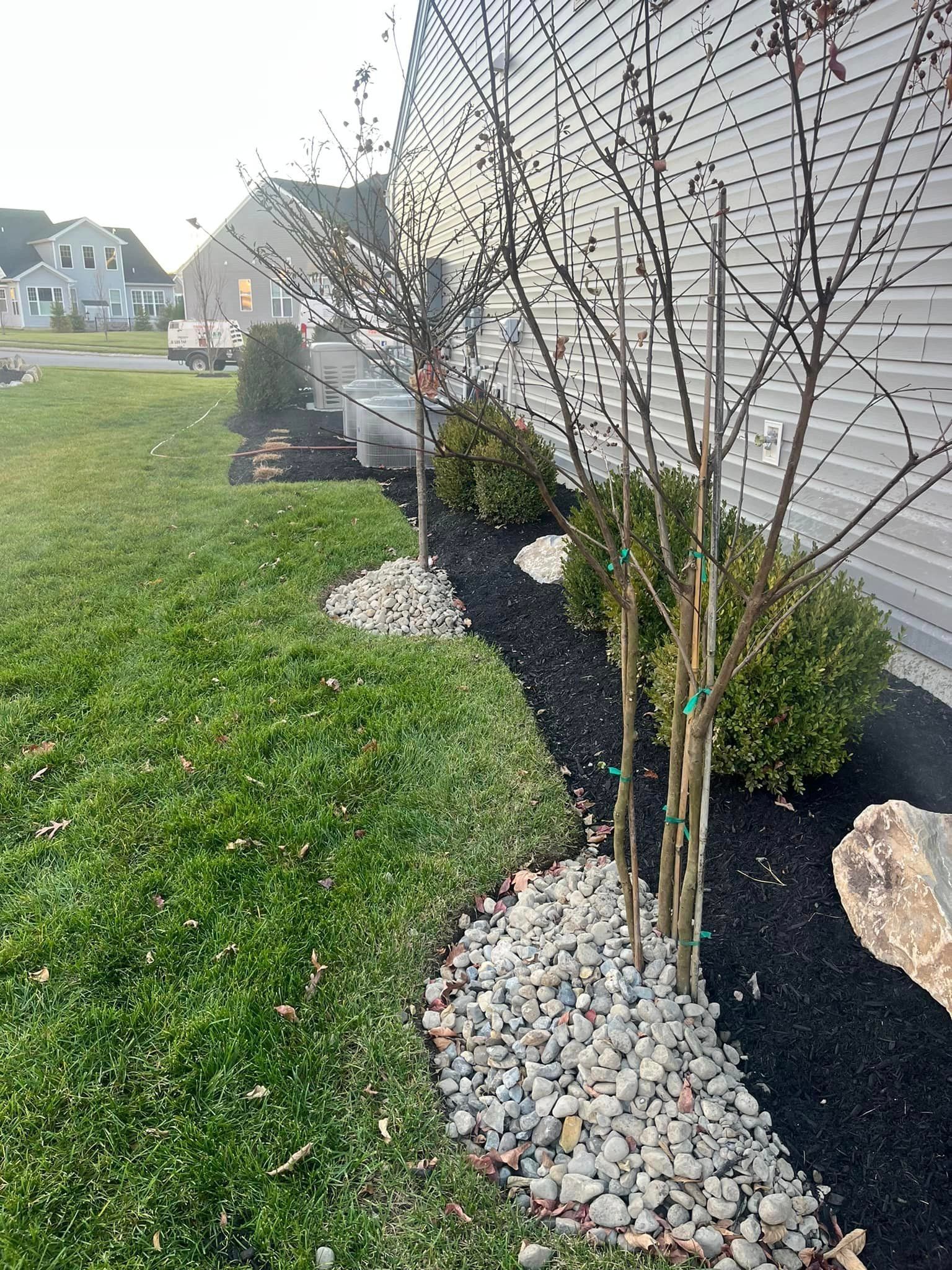 A lawn with trees and rocks in front of a house.