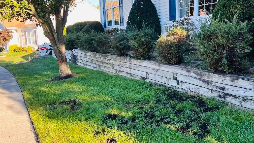 There is a tree in the middle of the grass in front of a house.