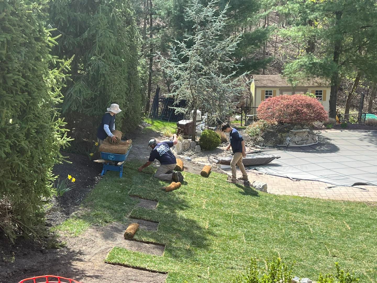 A group of people are working on a lush green lawn.