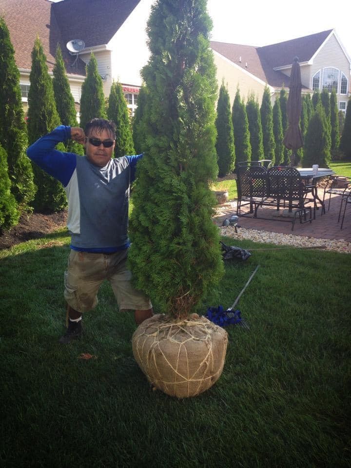 A man standing next to a large tree in a yard.