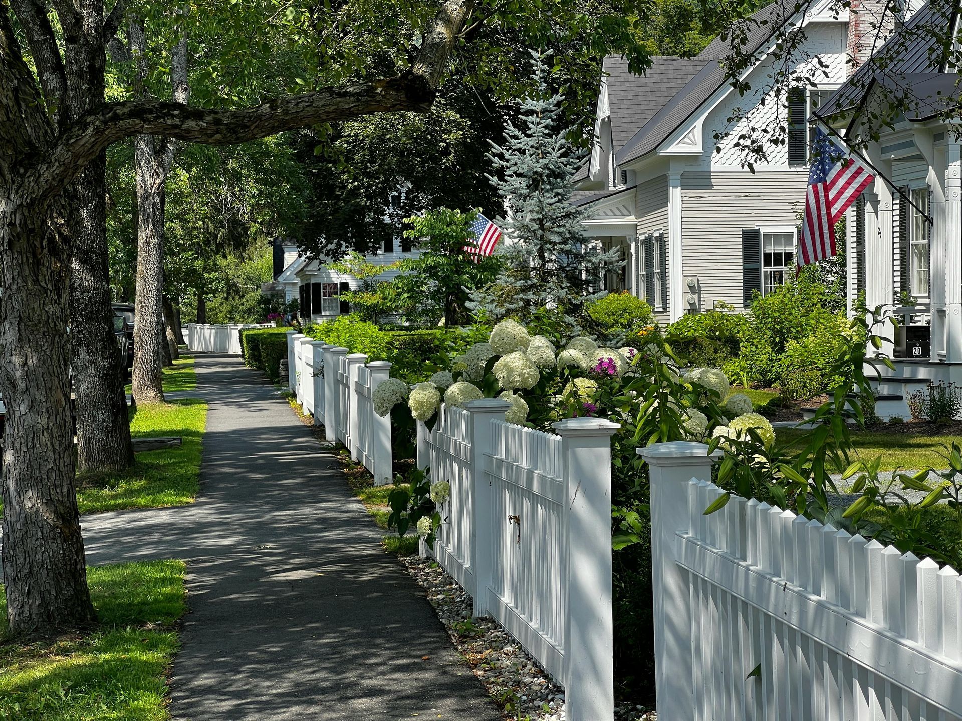 Tree-lined sidewalk beside white picket fences and houses with American flags on a sunny day