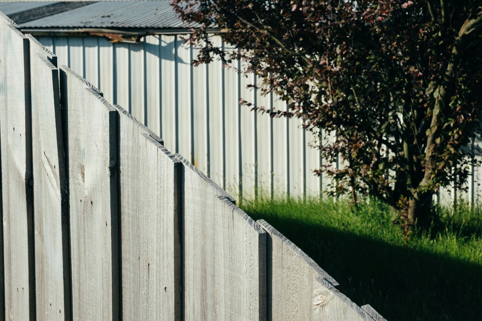 White wooden fence with a diagonal shadow, beside green grass, a tree, and a corrugated metal building.