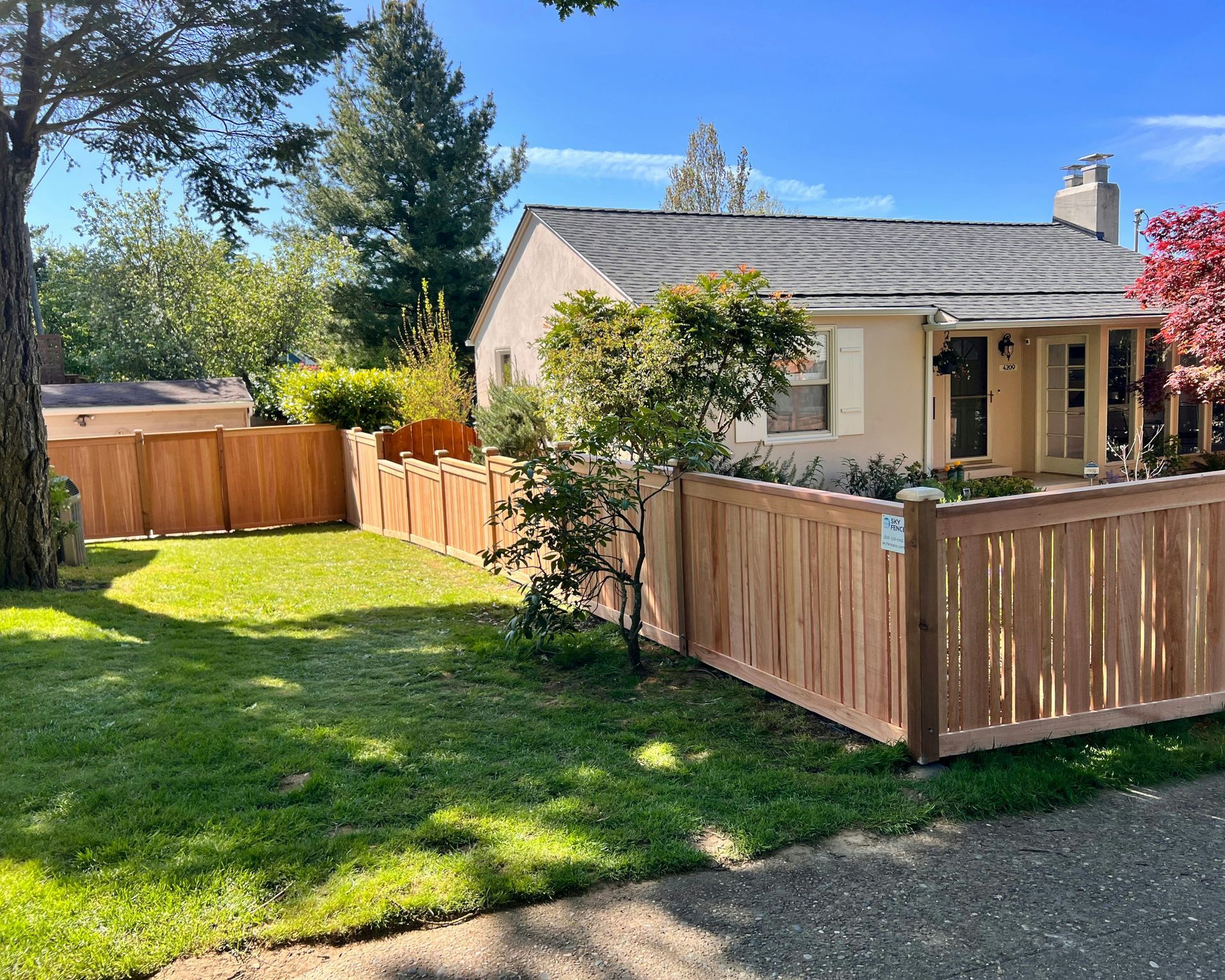 Sunny suburban yard with wooden fence, green lawn, and a beige house under clear blue sky