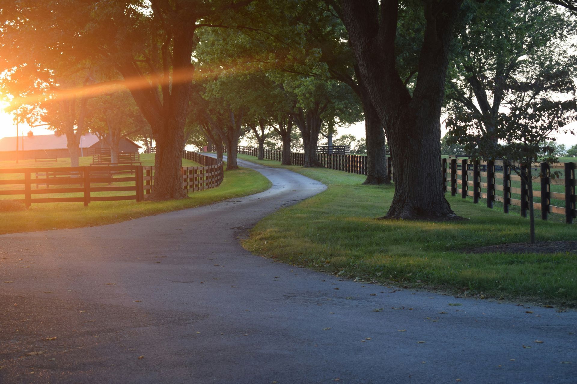 Sunlit winding road through a tree-lined park with wooden fences and long shadows at sunset