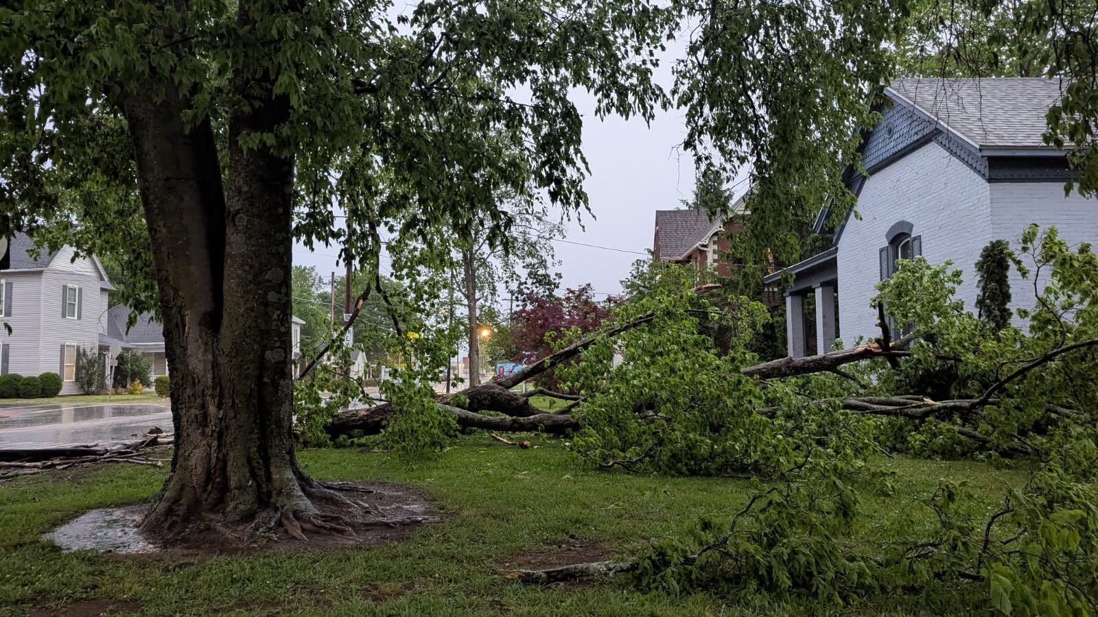 Downed tree branches and debris scattered across a suburban yard beside white houses after a storm